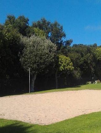 Volleyball