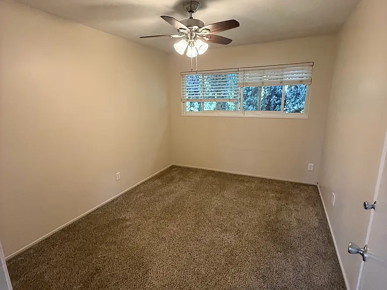 573 Harrison Ave #1 — Photo 3