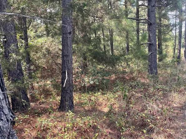 LOT 23 Griffin Farm Rd, Quitman, AR 72131