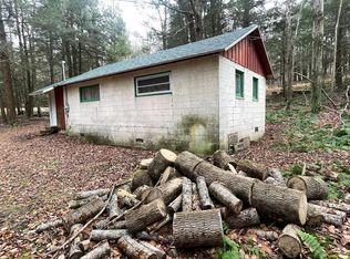 217 Cookhill Rd, Dushore, PA 18614