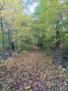 0 Glass Factory Road, Lyndeborough, NH, 03082
