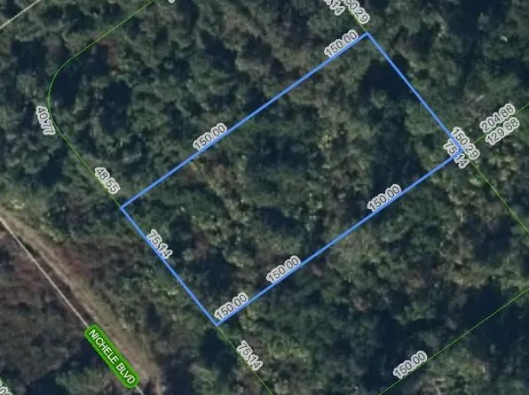 455 Nichele Blvd Lot 19, Lake Placid, FL 33852