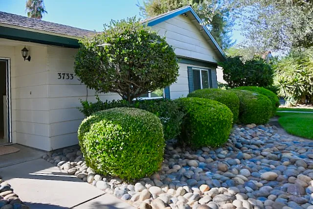 Landscaping makes an impression