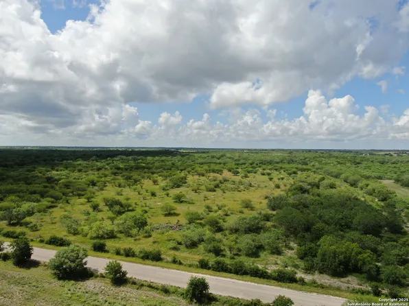 TBD County Rd 207 LOT TR35, Hobson, TX 78117