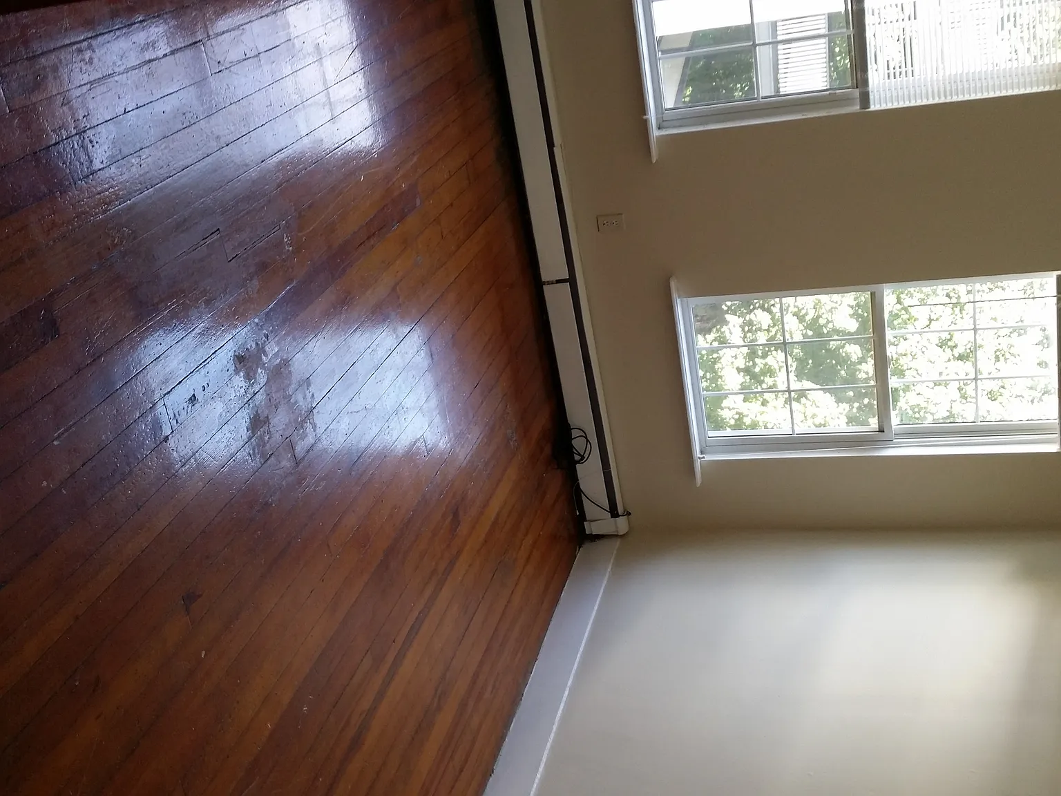 3 bed, 1350 sqft, $3,300 — Photo 2