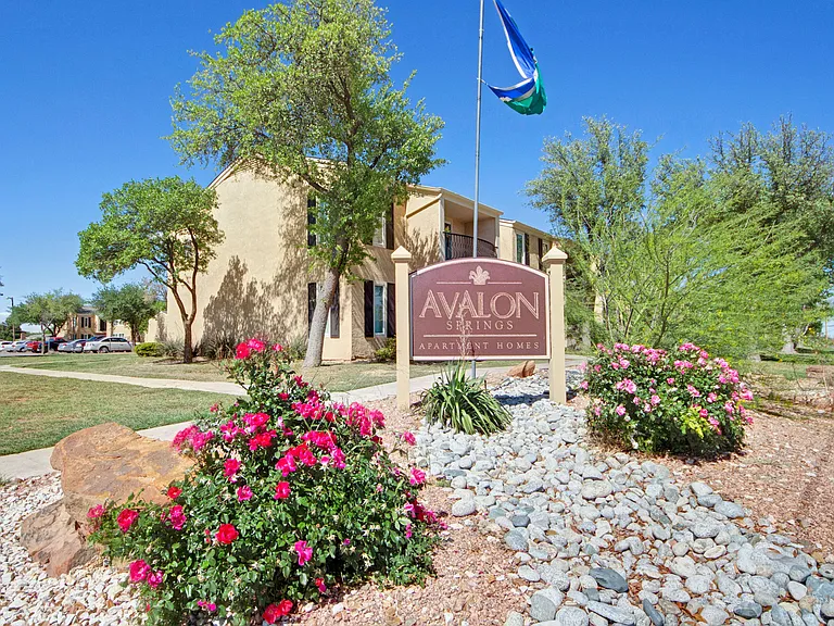 Avalon Springs — Photo 15