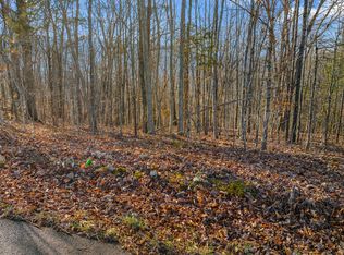 LOT 18/19 Overton Rd, Maynardville, TN 37807