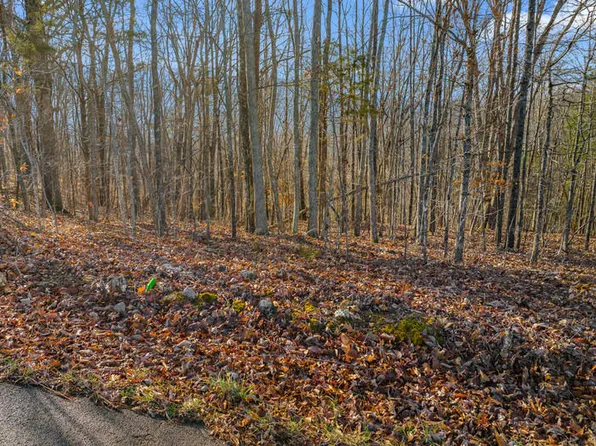LOT 18/19 Overton Rd, Maynardville, TN 37807