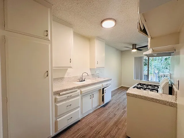 Pampas Lane Apartments — Photo 2