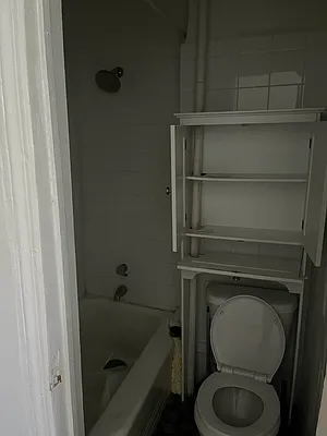 Rented by Omega Realty of Greenpoint | media 15