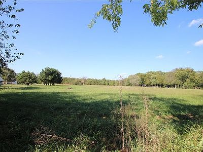 Serene backyard view!