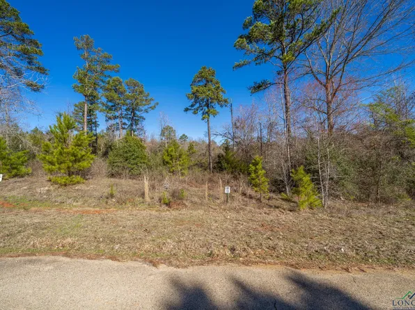 LOT 8 County Road 3545, Hawkins, TX 75765