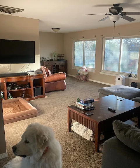 Living Room 1