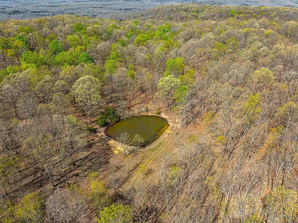 0 Peebles Bluff Rd, Smithville, AR 72466