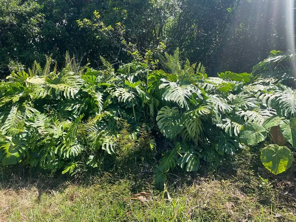 Manini St Lot 2, Pahoa, HI 96778