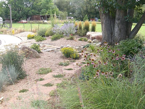 front yard to the SW