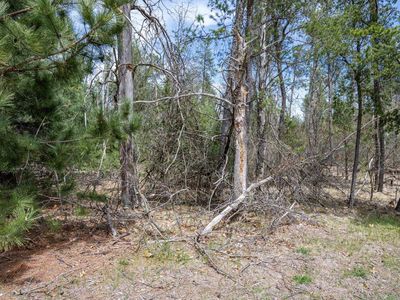 Lot 164 Whistling Wings Drive #164, New Lisbon, WI, 53950