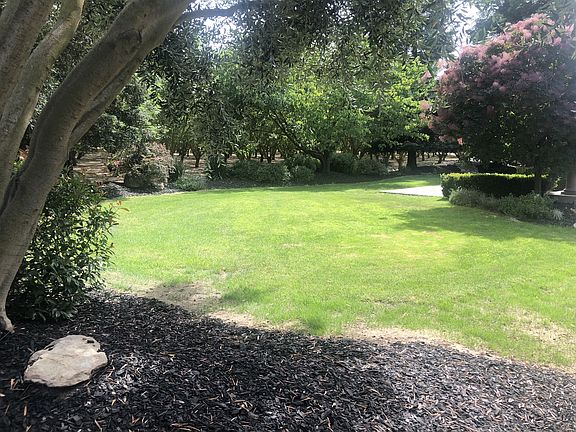 Luscious Landscaping