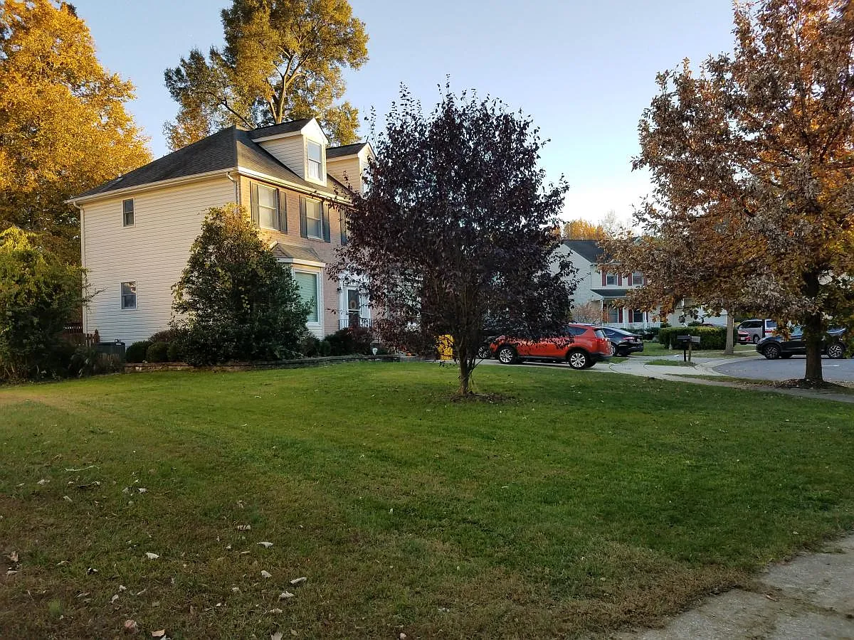 Building Photo - 1809 Stark Dr