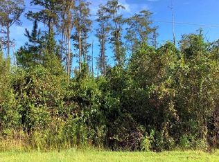 Paddock St LOT 623, Orlando, FL 32833