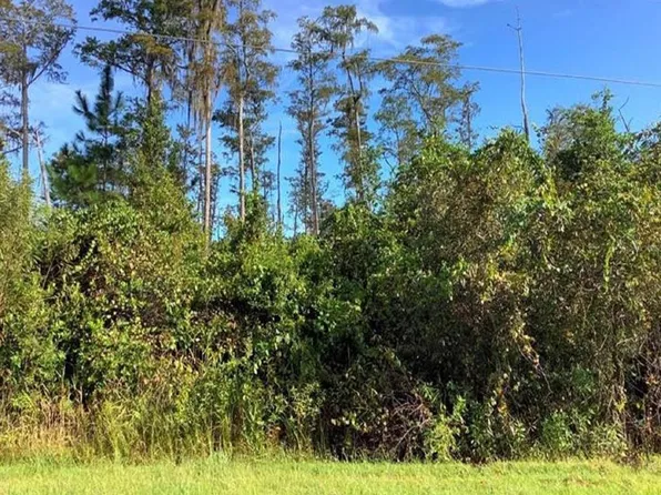 Paddock St Lot 623, Orlando, FL 32833