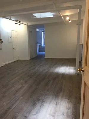 Rented by Manhattan Flats | media 19