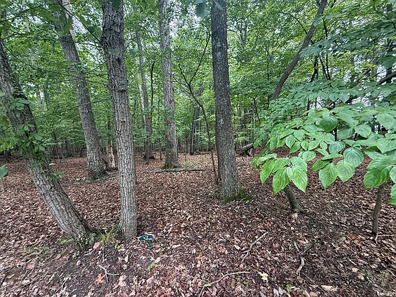 4th image of 17 Saunders Point Rd