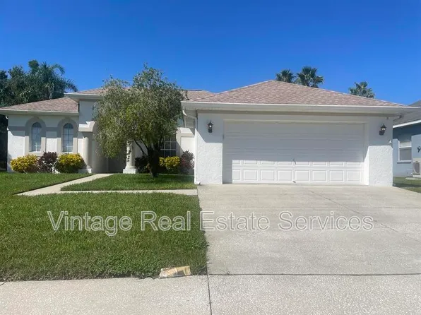 3941 Roswell Pl, Land O Lakes, FL 34639