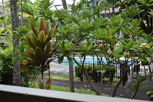 1st image of 75-5776 Kuakini Hwy APT 102