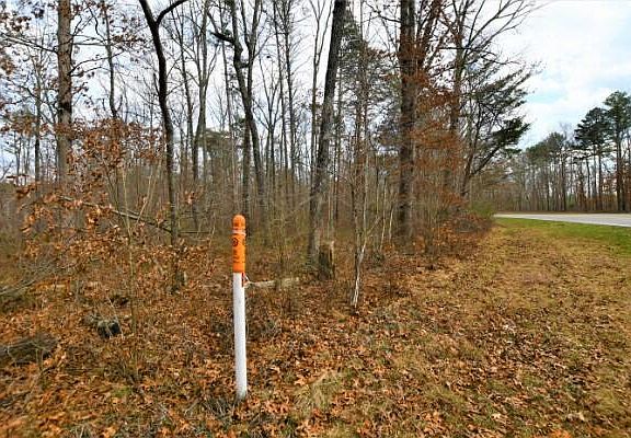 3rd image of LOT 1 Highway 150 Unit 1