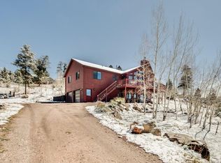 163 Homestead Rd, Bailey, CO 80421