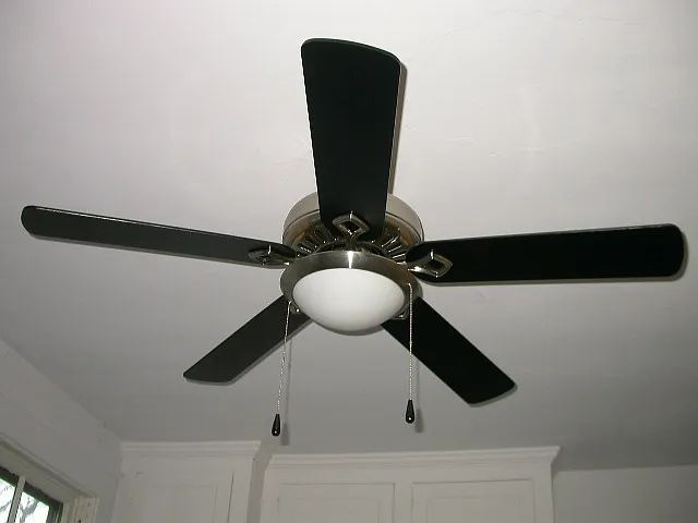329 Macarthur Pkwy #3 — Photo 4