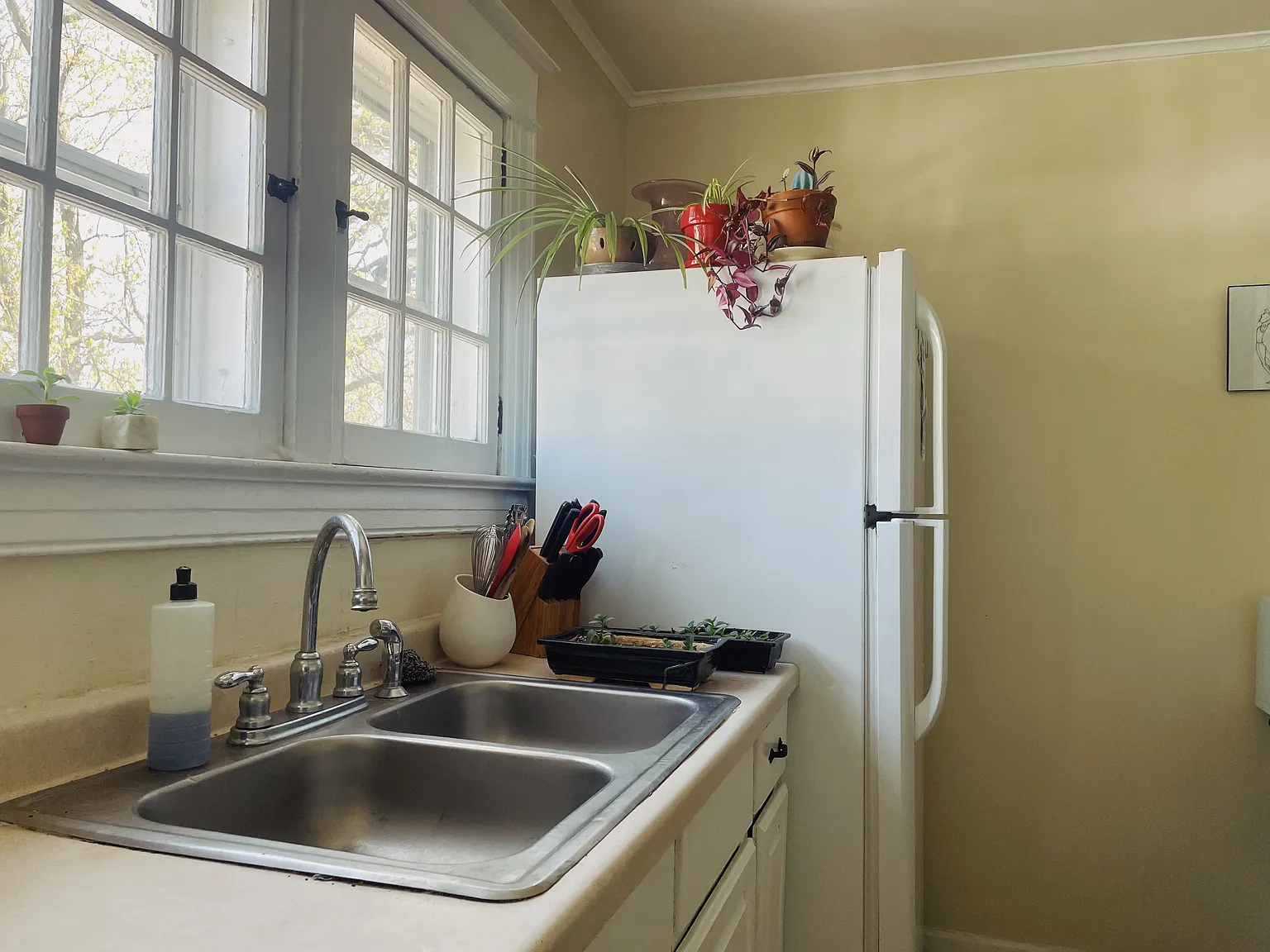 4 bed, $675 — Photo 4