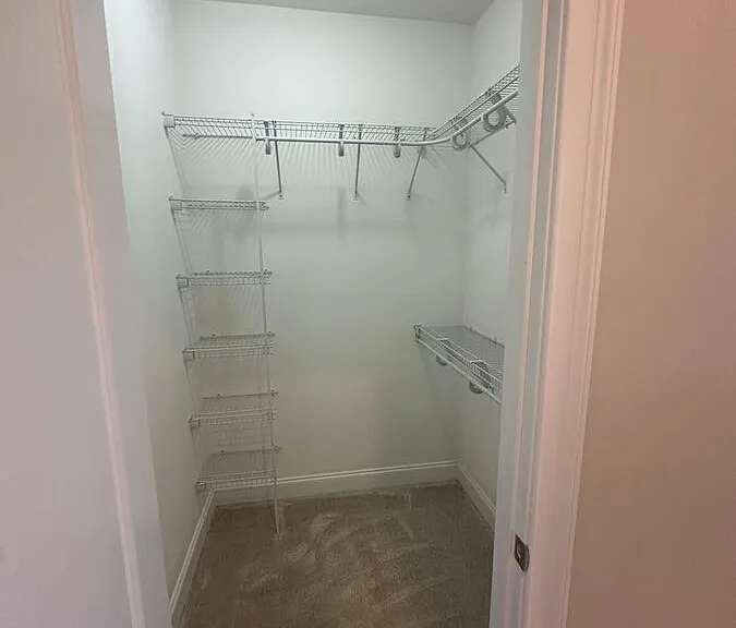 2934 Salamander Creek Ln — Photo 14