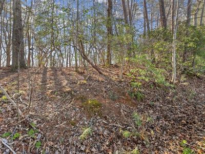 6 Sweet Apple Ln #1.61, Dahlonega, GA, 30533