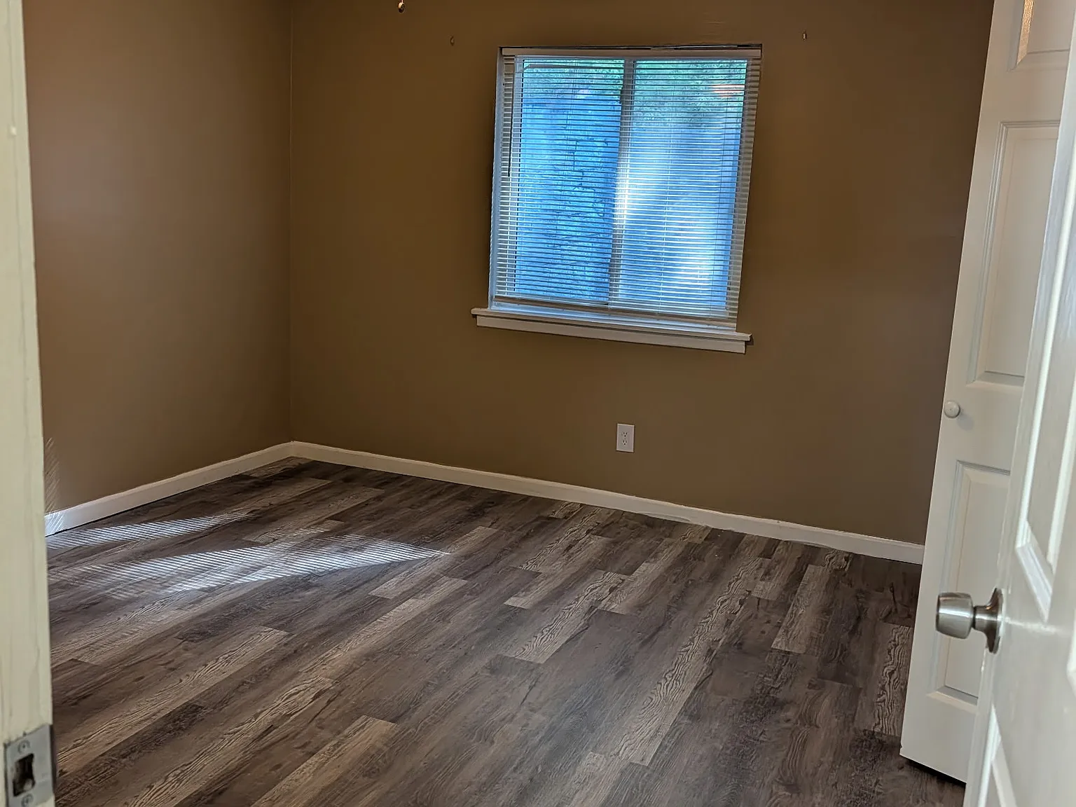 1 bed, 800 sqft, $1,100 — Photo 3