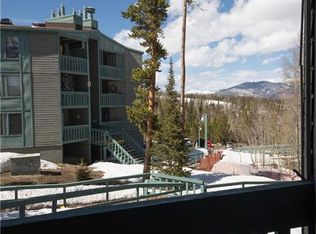 4400 Lodge Pole Cir #101, Silverthorne, CO 80498