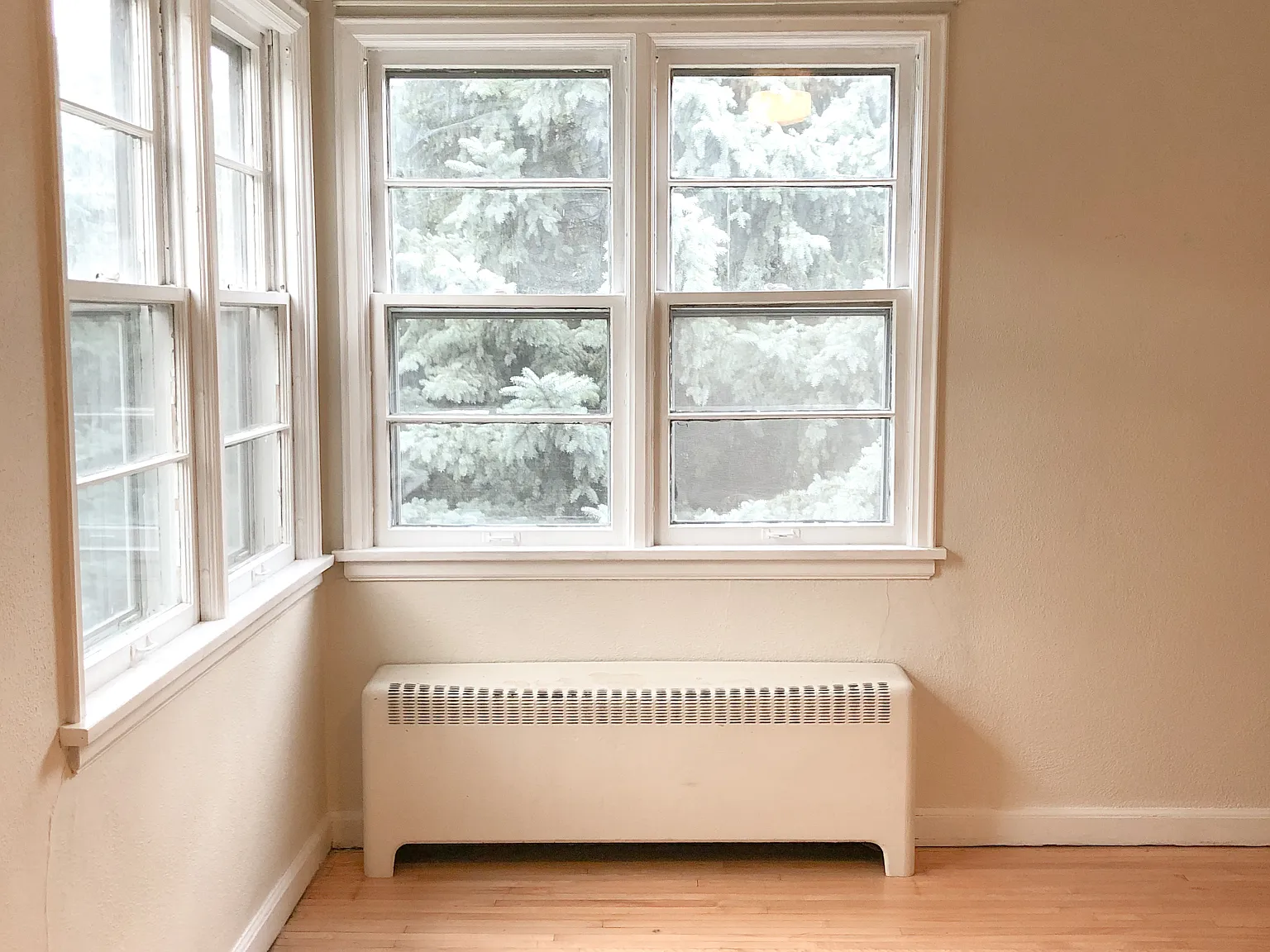 1 bed, 650 sqft, $750 — Photo 2