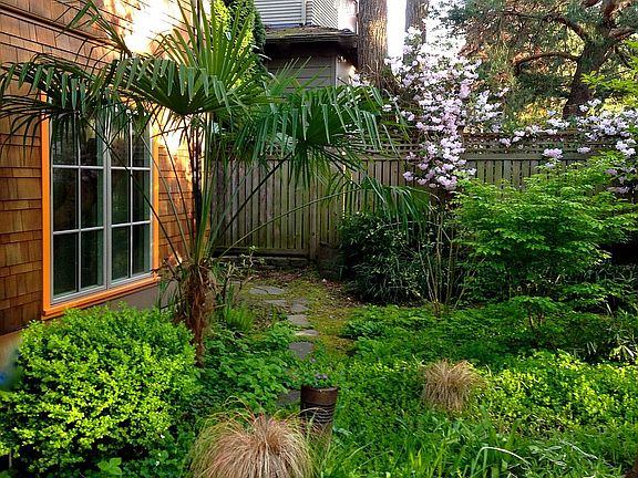 Your own arboretum...