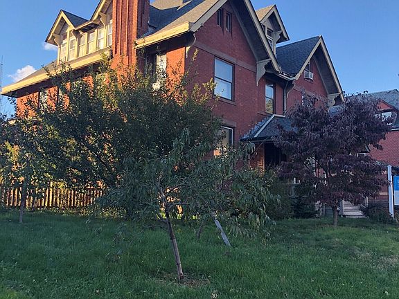3rd image of 51 Gillett Street