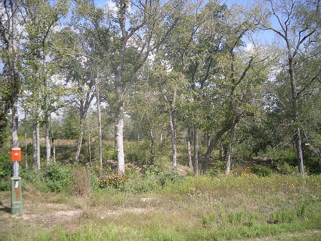 1st image of 4827 Williams Creek Dr