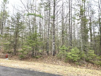 LOT 353 Northland Heights Dr, Presque Isle, MI, 49777
