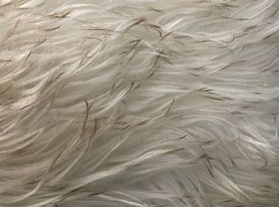 8435 Gabriel Ct, Gainesville, GA 30506