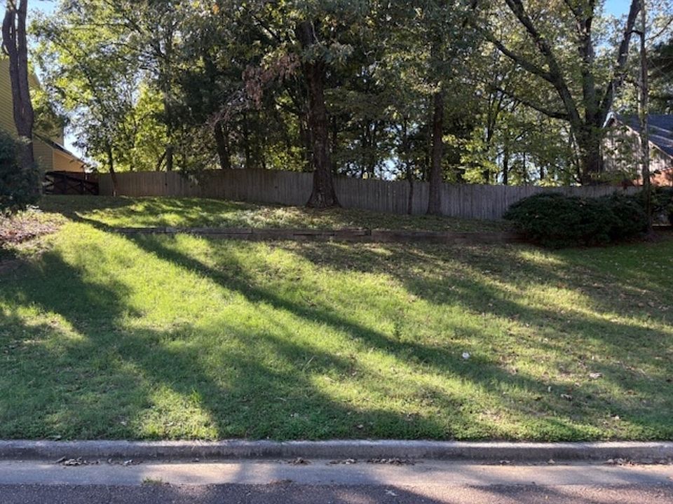 View from street. Lot extends far beyond fence.