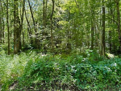 2 Greenville St, Spencer, MA, 01562