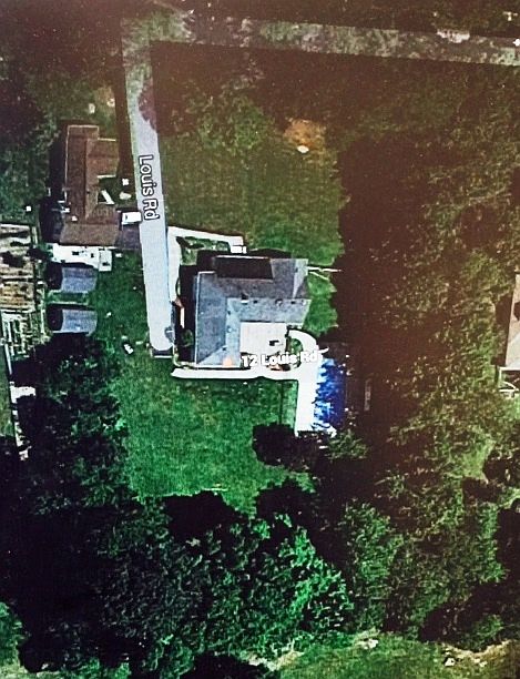 Trees on 12 Louis Road Land