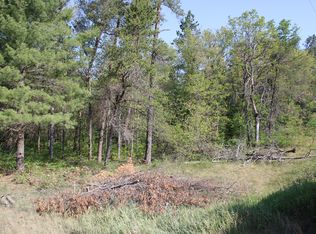 800 McKinley Rd, Mio, MI 48647