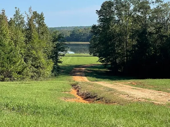 4250 Highway 397, Louisville, MS 39339