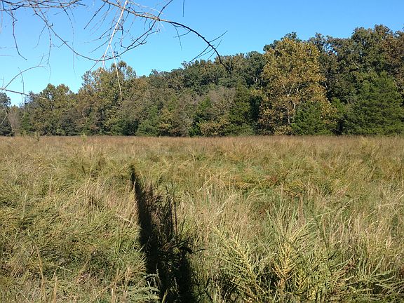 5th image of County Road 605
