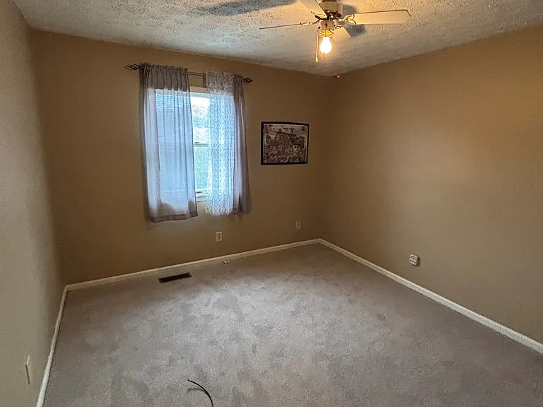709 Chert Ln — Photo 10